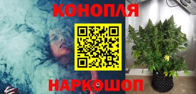 гашик Волжский