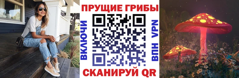 закладки  MEGA   Галлюциногенные грибы мухоморы  Богородск 